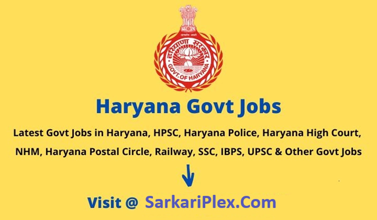 haryana jobs