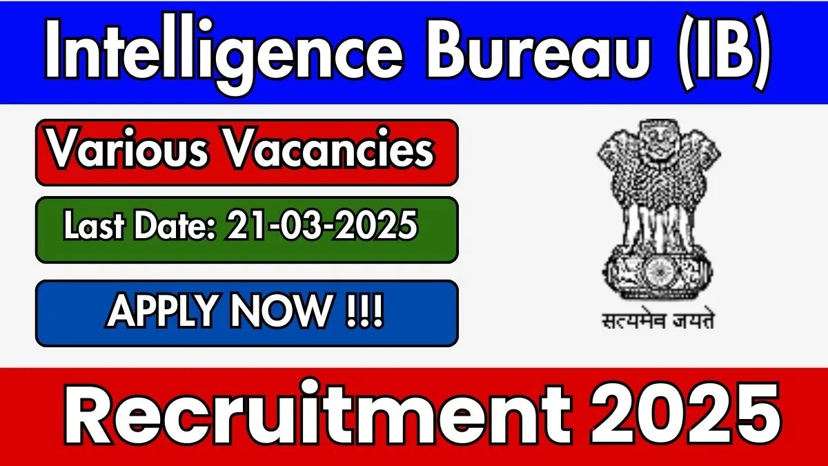 intelligence-bureau-ib-deputy-central-intelligence-officer-or-technical-recruitment-2025